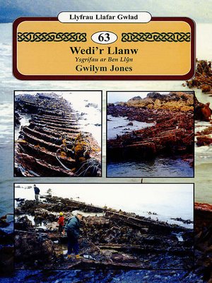cover image of Wedi'r llanw